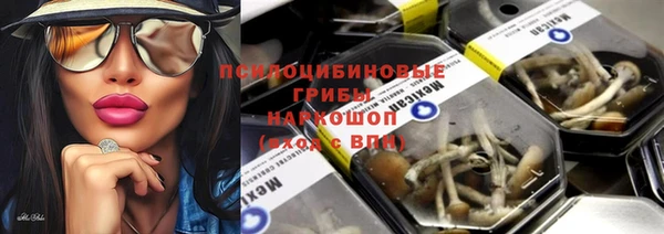 амф Абинск