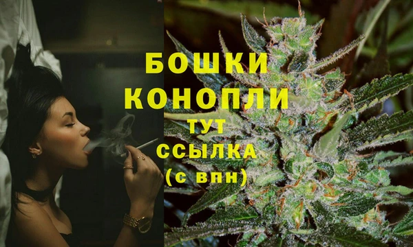 PSILOCYBIN Абдулино