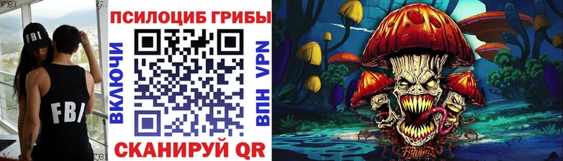 Псилоцибиновые грибы мицелий  дарнет шоп  Инсар 
